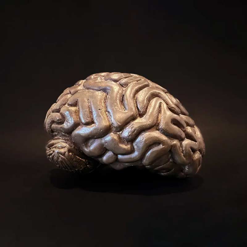 Bronze-brain